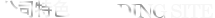 公司特色
